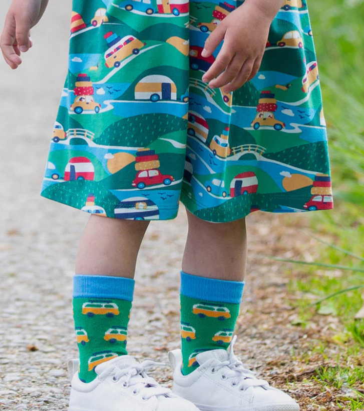 Dino Socks